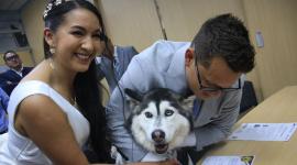 Los animalitos participan simbólicamente en las bodas en Ecuador.