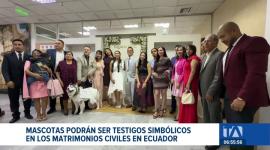 El Registro Civil del Ecuador lanzó un programa que permite a las mascotas asistir a las ceremonias y actuar como testigos simbólicos. Un reportaje de Jazmín Solís