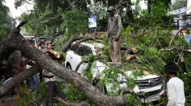 Hombres ayudan a retirar un árbol que cayó sobre un auto en la India por las tormentas