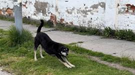 Bruna, integrante de los Poliperros, fue hallaada muerta.
