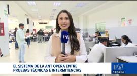 La ANT realiza pruebas técnicas tras la falla nacional; la caída de la plataforma afectó la emisión de certificados vehiculares y documentos.
