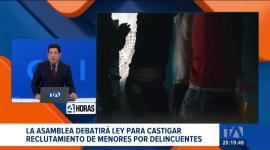 El proyecto legislativo, presentado por la vicepresidenta María José Pinto, busca incrementar la sanción a 26 años de cárcel y otorga la política de prevención a los municipios.