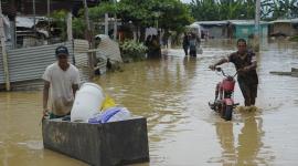 Zonas de la Costa y sectores ubicados bajo los 1.500 metros sobre el nivel del mar son los más vulnerables