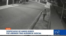 La justicia dictó medidas sustitutivas para el presunto delincuente aprehendido hace una semana. Expertos cuestionan duramente la resolución. Un reportaje de Juan Miguel Rodríguez