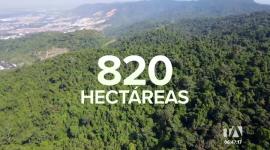 Colectivos ecologistas cuestionan la medida del Ministerio de Ambiente sobre la explotación minera en Cerro Azul. La zona es un área protegida. Un reportaje de Johanna Ramos