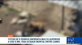 La Unidad de Bienestar Animal inició un proceso sancionatorio contra el dueño de cinco mascotas debido a una omisión de custodia segura. Un reportaje de Brigette Mancheno