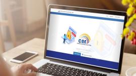 El CNE entrega el certificado de apoliticismo en línea y de manera presencial.