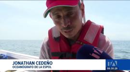 Expertos oceanográficos mantienen bajo estricta vigilancia las condiciones climáticas ante las anomalías térmicas detectadas en el Pacífico. Un reportaje de Ericka Vera