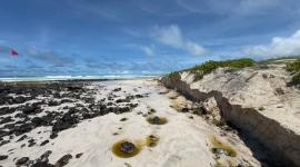 El Parque Nacional Galápagos dispone el cierre temporal de la playa Tortuga Bay, en el archipiélago, debido a condiciones de oleaje.