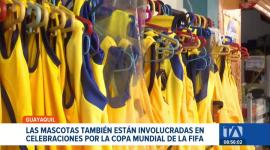 Los consentidos del hogar también forman parte de la fiesta del fútbol gracias a la oferta de indumentaria que ofrecen comercios de Guayaquil. Un reportaje de Camila Guevara