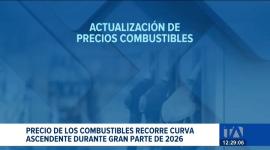 Pese a los cinco meses de ajustes, el país conserva la ventaja de tener uno de los diésel más económicos de la región. Un reportaje de Astrid Singre
