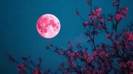 La luna de fresa es uno de los eventos astronómicos que está previsto para junio de 2026.