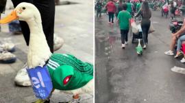 Merlín: ¿Quién Es el Pato Viral que Celebra Victoria de México sobre Sudáfrica en el Mundial 2026?