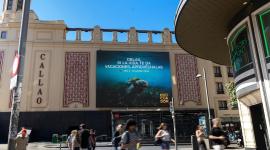 Campaña Ecuador 2026 en Madrid "Oblak, si la vida te da vacaciones aprovéchalas"
