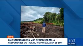 La AMC aplicó una sanción económica a un ciudadano que derribó 70 especies endémicas sin ningún tipo de permiso en el sector de Quitumbe. Un reportaje de Brigette Mancheno