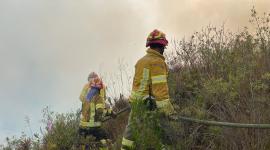Las altas temperaturas y la temporada seca pueden ocasionar incendios forestales.