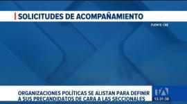 El CNE ha recibido 166 solicitudes de acompañamiento para definir precandidatos. Expertos cuestionan la legitimidad de estos procesos. Un reportaje de Lucía Clavijo