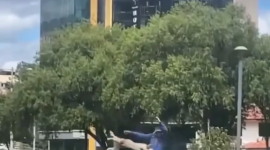Un hombre fue captado lanzando a un perro a una alguna en varias ocasiones.