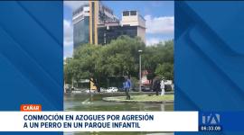 Un caso de crueldad animal conmociona a la ciudad de Azoguez. Policía y unidades de rescate actuaron tras la alerta y lograron salvar la vida del can. Un reportaje de Martha Calle