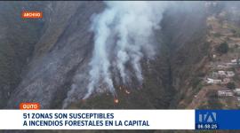 En Quito, 51 zonas son susceptibles a incendios forestales. El Cuerpo de Bomberos y las mesas de seguridad técnica activan planes de monitoreo. Un reportaje de Stephany Paz