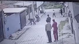 Hombre que golpeó a perrita y sus cachorros no puede ser sancionado porque es extranjero.
