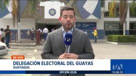 El CNE avanza con la consolidación de la información de las precandidaturas presentadas en los procesos de democracia interna de los partidos. Un reportaje de Carlos Sacoto