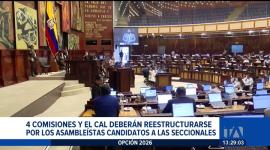 La renuncia obligatoria de 22 asambleístas que buscan alcaldías y prefecturas obligará a reorganizar las mesas. ADN registra más bajas. Un reportaje de Karen Haro