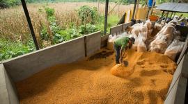 El comercio y la agricultura son dos de los sectores que más inversión extranjera directa recibieron el primer trimestre de 2026.