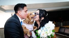 El primer semestre de 2026 se registraron más matrimonios que divorcios en Ecuador.