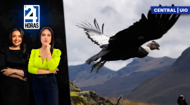 Revise las noticias más destacadas de Quito en la Emisión Central del Noticiero 24 Horas de este miércoles 8 de julio del 2026. Con Stephany Paz y Andrea Samaniego.