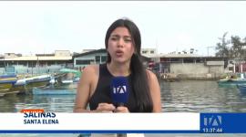 Las condiciones climáticas reducen la presencia de especies marinas en la Costa, afectando el sustento diario de los trabajadores del mar. Un reportaje de Camila Guevara