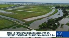El sector productivo diseña planes de contingencia frente a las anomalías climáticas que amenazan el desarrollo regular de los cultivos en el país. Un reportaje de Astrid Singre