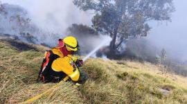 Más de 20 efectivos del Cuerpo de Bomberos de Quito trabajan para combatir el incendio en La Roldós,