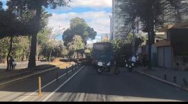 Un árbol cayó sobre un bus de transporte público en la av. Amazonas, en el sector de La Carolina.