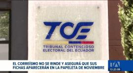 Gabriela Rivadeneira, presidenta de la RC,  afirmó que participarán en los comicios y revelará las organizaciones aliadas al inscribir candidaturas. Un reportaje de Belén Merizalde