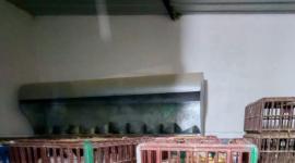 Estas actividades pueden ser sancionadas con multas que superan los USD 11 000