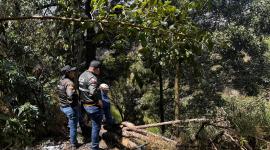 Autoridades buscan a Lizeth Bunshi cerca del río Machángara, centro de Quito.