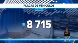 La AMC habilitó el retiro del nuevo cargamento de placas. La mayoría corresponden a solicitudes de duplicados por pérdida, robo y deterioro. Un reportaje de Stephany Paz