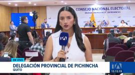 Las autoridades electorales ratificaron la resolución durante el desarrollo del Consejo Consultivo Nacional de Organizaciones Políticas. Un reportaje de María Fernanda Utreras
