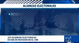 El organismo electoral mantiene pendiente la validación de los acuerdos presentados, de los cuales 13 corresponden a la provincia de Pichincha. Un reportaje de Karen Haro