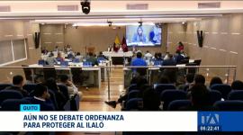 La Comisión de Ambiente entregó el informe para primer debate sobre la conservación del cerro Ilaló. El proyecto sigue a la espera de ser agendado. Un reportaje de Stephany Paz