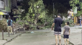 Trágico temporal en Brasil deja muertos.
