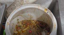 Hallan roedor sin vida y larvas en un local de comida en El Cármen, Manabí.