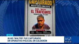 Operaciones de inteligencia militar permitieron ubicar a alias 'Walter', formaría parte de la estructura de Los Lobos. Un reportaje de Brigette Mancheno