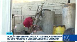 La intervención en el barrio Bellavista de Quito dejó un detenido, quien se desempeñaba como presunto cuidador de la instalación. Un reportaje de María Gracia Chacón