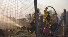 Alerta por humo y ceniza: Incendio forestal en El Quinche continúa activo