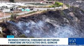 Las llamas fueron controladas por los equipos de emergencia, quienes permanecen en el sitio para prevenir reactivaciones. Un reportaje de Gustavo Jaramillo