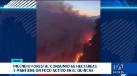 Bomberos y equipos de emergencia lograron sofocar las llamas del incendio forestal en El Quinche. Se mantiene el monitoreo para evitar reactivaciones. Un reportaje de Gustavo Jaramillo