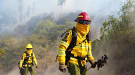 Bomberos de Quito controlaron un incendio forestal en El Quinche.