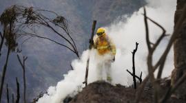 Bomberos combaten los incendios forestales registrados en Ecuador.